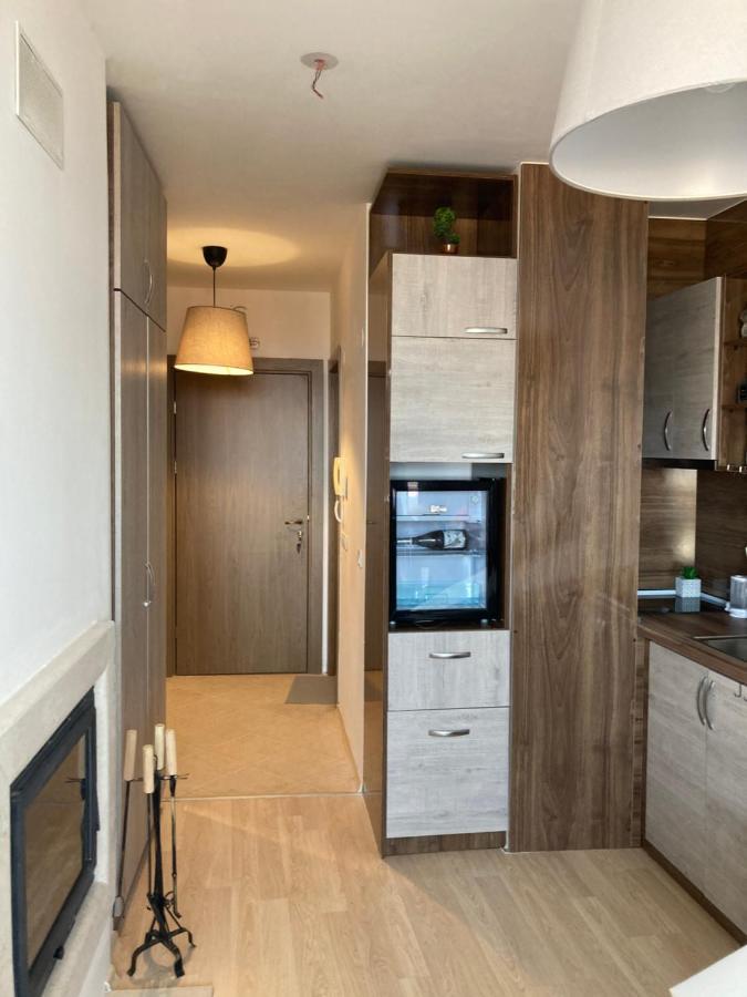 Mirabell Studio Bansko - Amazing View & Fireplace المظهر الخارجي الصورة