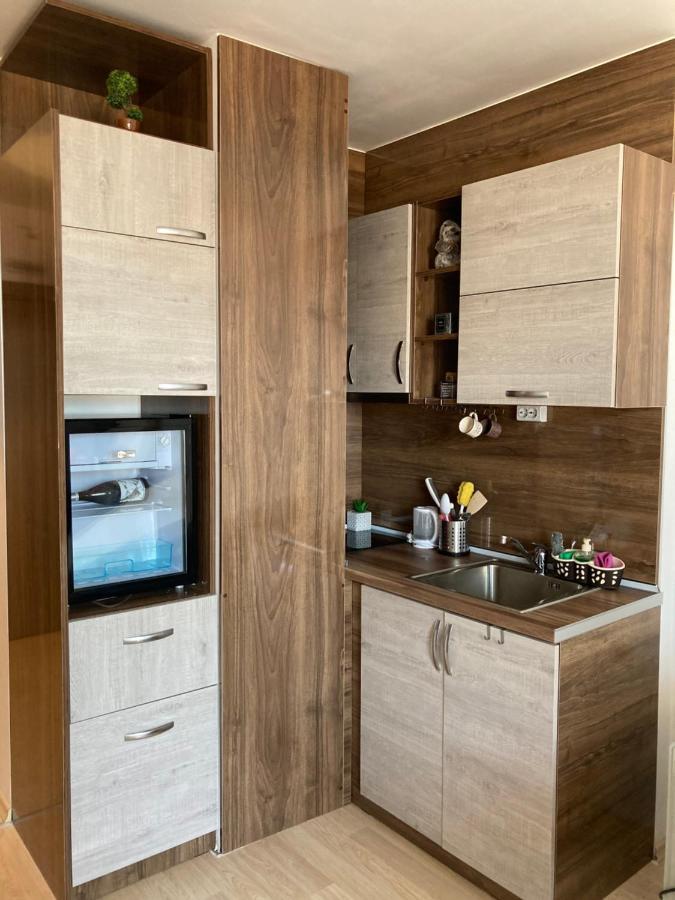 Mirabell Studio Bansko - Amazing View & Fireplace المظهر الخارجي الصورة