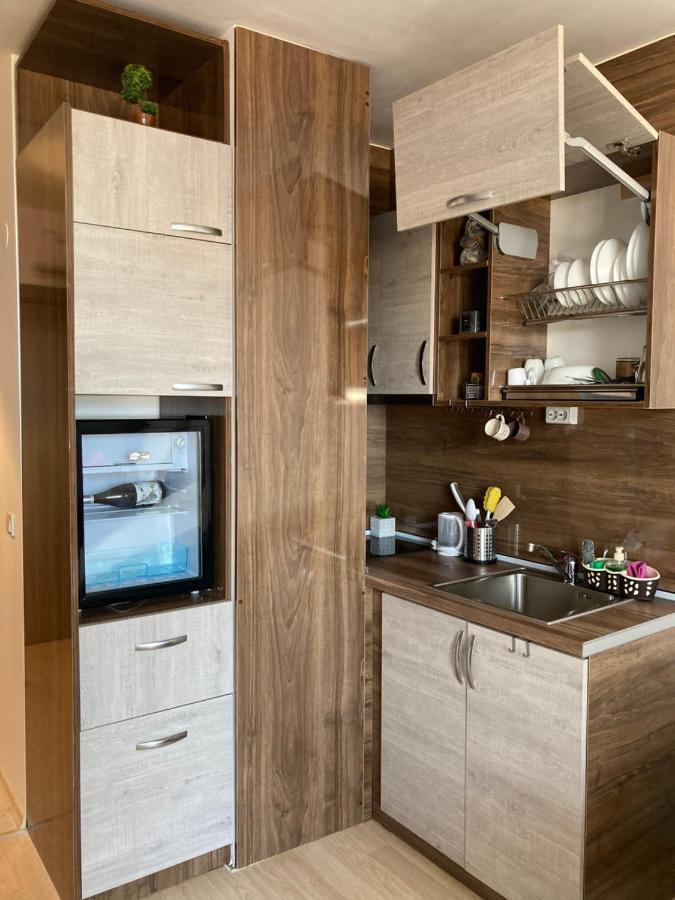 Mirabell Studio Bansko - Amazing View & Fireplace المظهر الخارجي الصورة