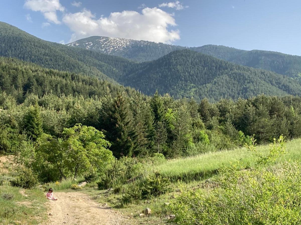 Mirabell Studio Bansko - Amazing View & Fireplace المظهر الخارجي الصورة